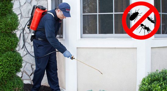 Söke Kene İlaçlama böcek ilaçlama ve haşere kontrolü — ilaclama-tr.com